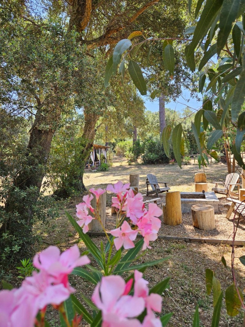 Domaine authentique de Rose, domaine à Porto-Vecchio (photo 2)