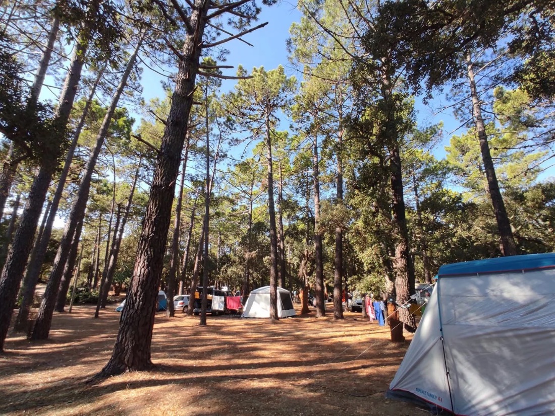 Arutoli, camping à Porto-Vecchio (photo 3)