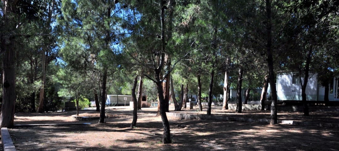 Balanéa, camping 1 étoile à L'Île-Rousse (photo 3)