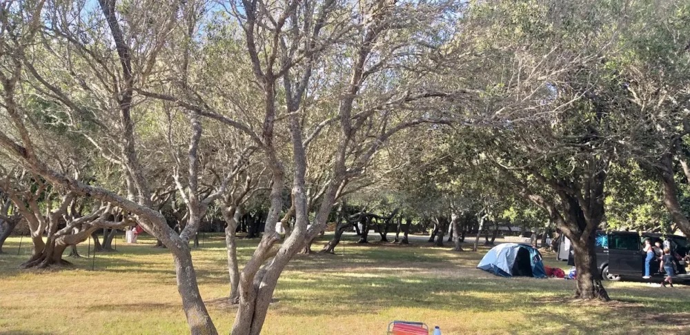 La Pomposa, camping à Bonifacio (photo 3)