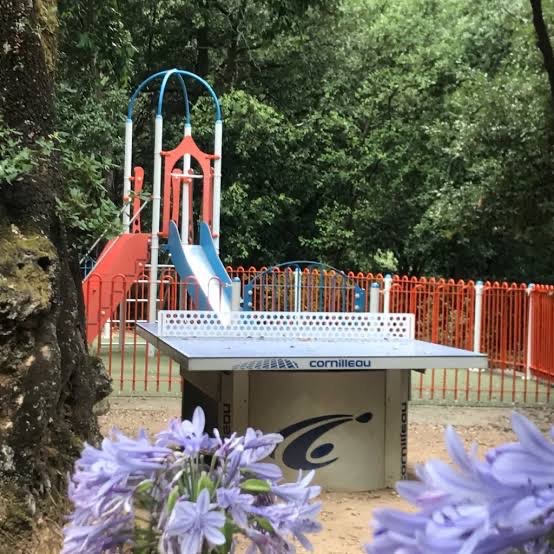 Le Porto, camping à Porto (photo 2)