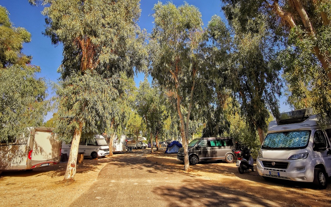 Les Mimosas, camping 2 étoiles à Ajaccio (photo 2)