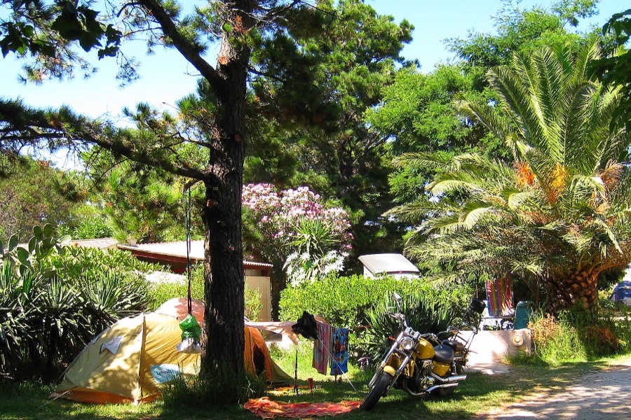 Santa Marina, camping 2 étoiles à Cap Corse (photo 2)