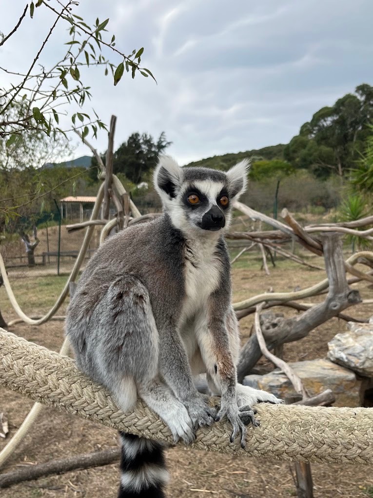 Corsica Zoo, parcs animaliers à Bastia (photo 2)