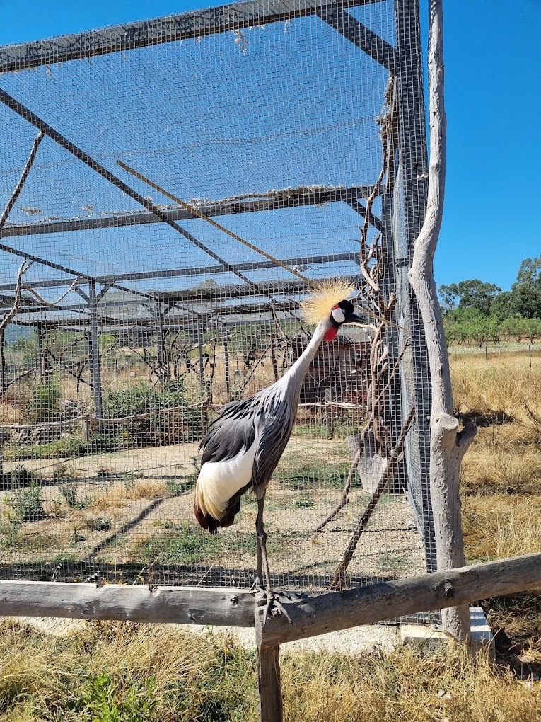 Corsica Zoo, parcs animaliers à Bastia (photo 3)
