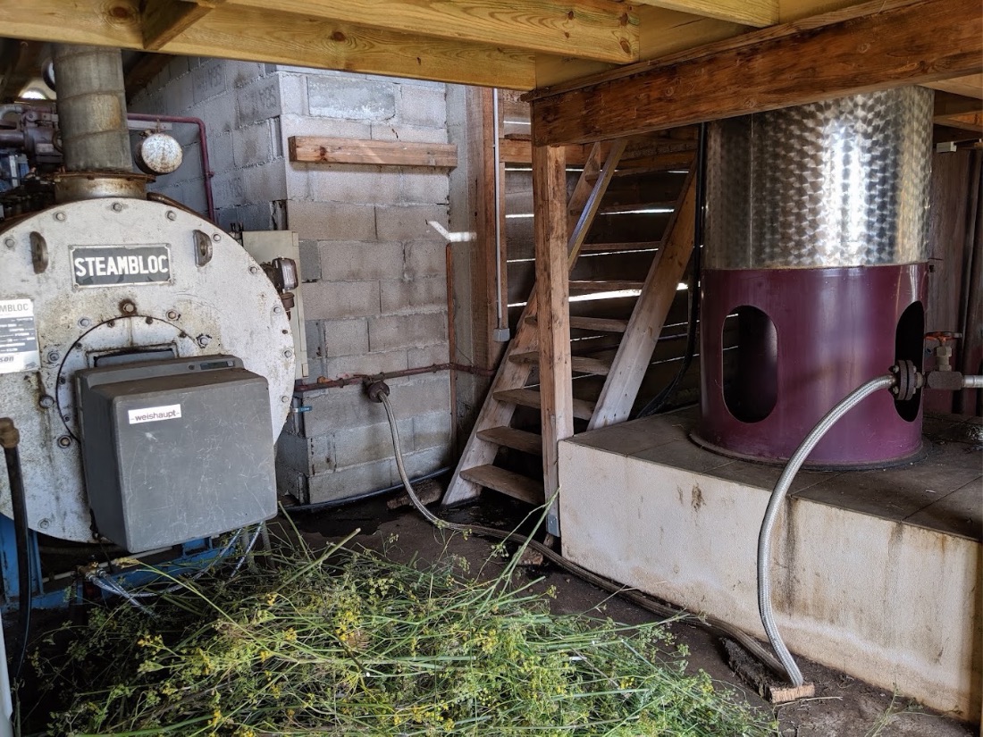 Distillerie Vitalba, visites & dégustations à Sartène (photo 3)