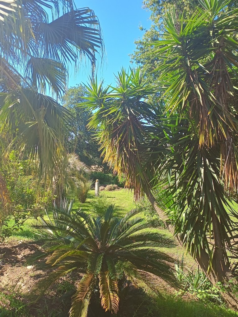 Essences Naturelles Corses, visites & dégustations à Bastia (photo 3)